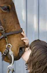 [Image: autismhorseboykissingmuzzle.jpg]