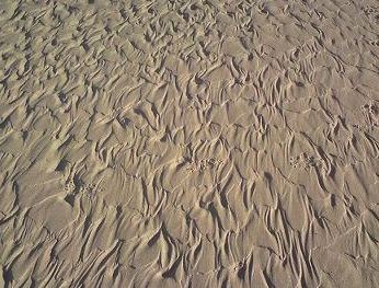 [Image: sand.JPG]