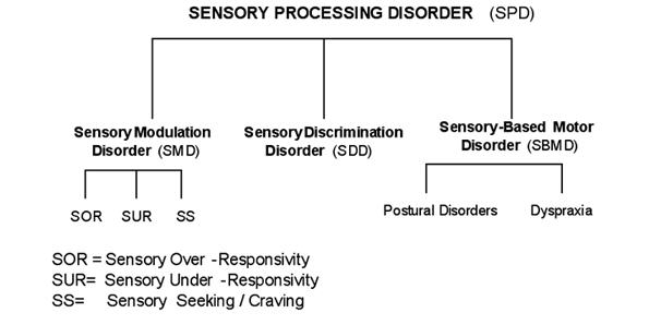 Sensory Processing Chart