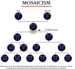 [Image: mosaicism1.jpg]