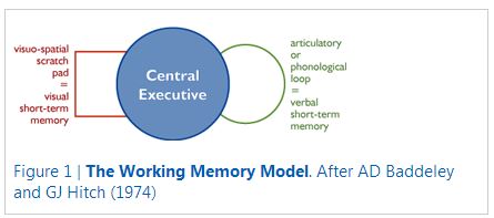 working memory