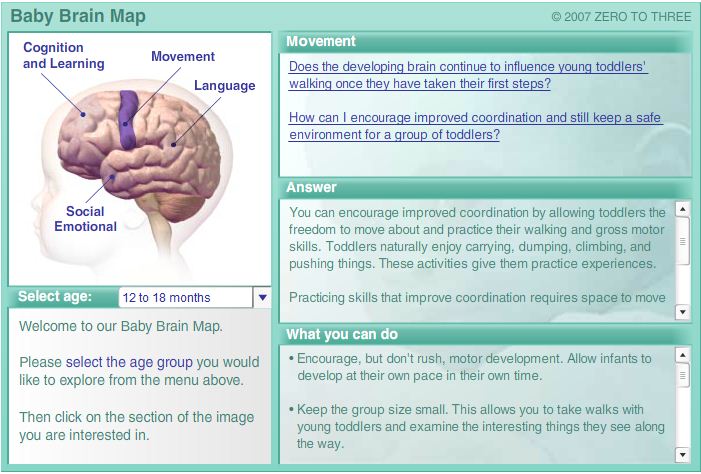 Environmental influences on the pace of brain development