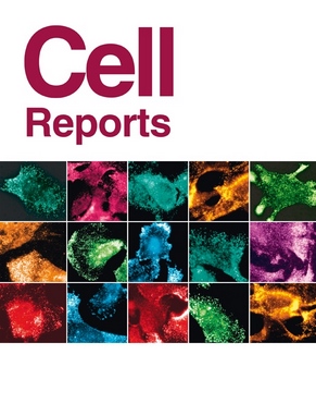 cell reports