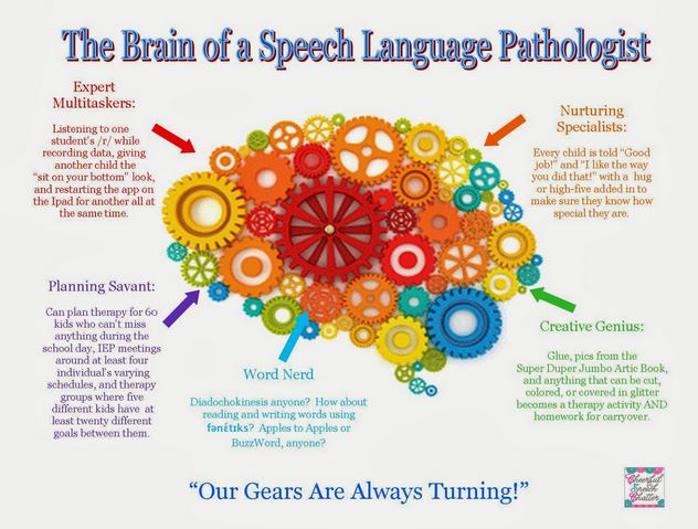 the brain of an slp