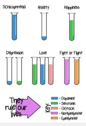 neuroreceptors