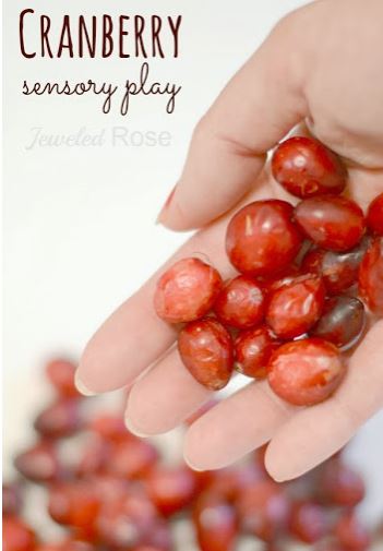 cranberryplay