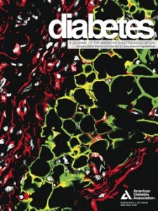 diabetes2