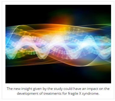 fragilex