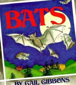 bats