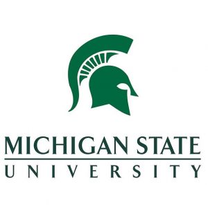 msu