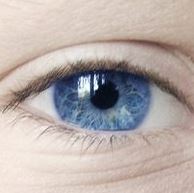 eye